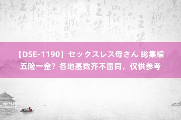 【DSE-1190】セックスレス母さん 総集編 五险一金？各地基数齐不雷同，仅供参考