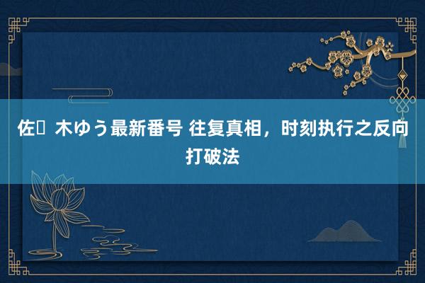 佐々木ゆう最新番号 往复真相，时刻执行之反向打破法