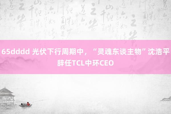 65dddd 光伏下行周期中，“灵魂东谈主物”沈浩平辞任TCL中环CEO