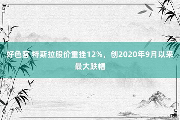 好色客 特斯拉股价重挫12%，创2020年9月以来最大跌幅