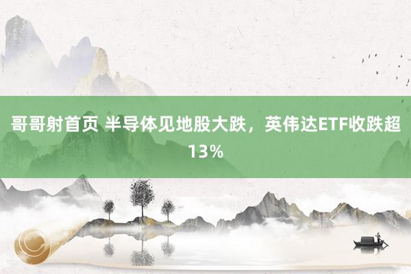 哥哥射首页 半导体见地股大跌，英伟达ETF收跌超13%