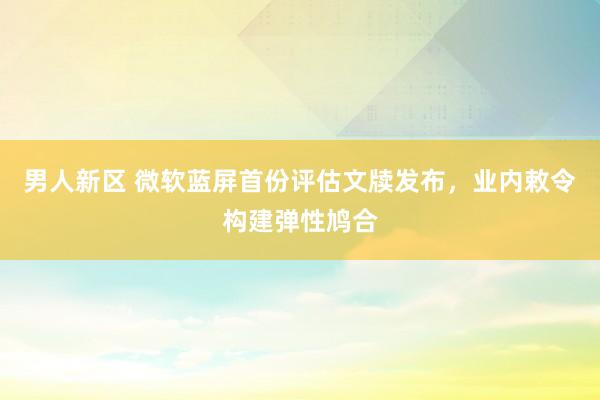 男人新区 微软蓝屏首份评估文牍发布，业内敕令构建弹性鸠合