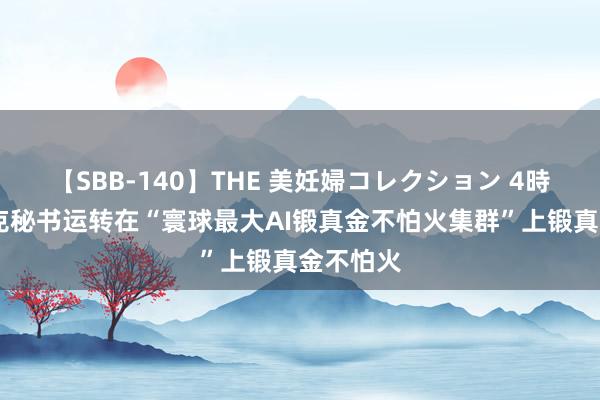 【SBB-140】THE 美妊婦コレクション 4時間 马斯克秘书运转在“寰球最大AI锻真金不怕火集群”上锻真金不怕火