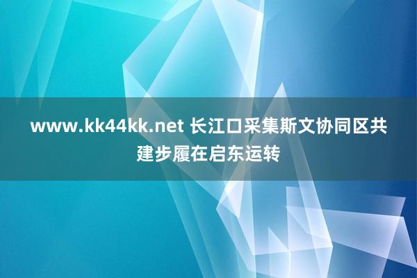 www.kk44kk.net 长江口采集斯文协同区共建步履在启东运转