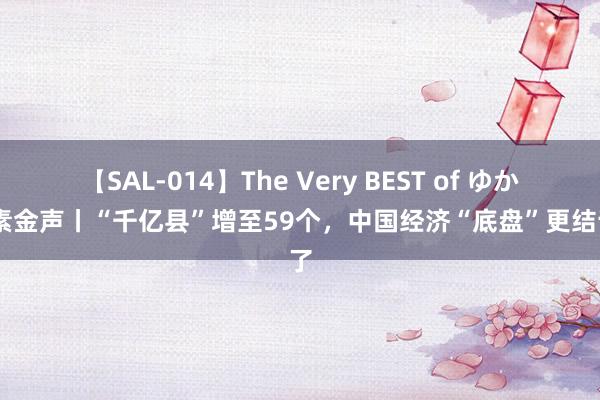 【SAL-014】The Very BEST of ゆか 尺素金声丨“千亿县”增至59个，中国经济“底盘”更结识了