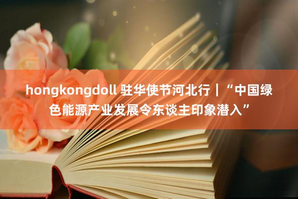 hongkongdoll 驻华使节河北行｜“中国绿色能源产业发展令东谈主印象潜入”