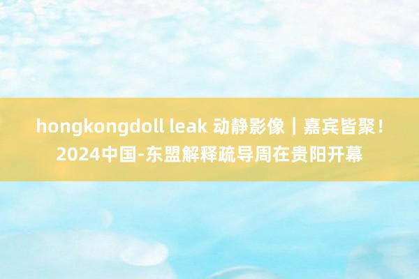 hongkongdoll leak 动静影像｜嘉宾皆聚！2024中国-东盟解释疏导周在贵阳开幕