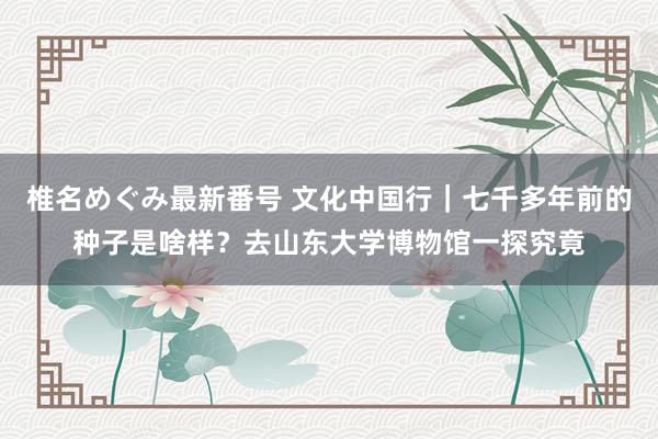 椎名めぐみ最新番号 文化中国行｜七千多年前的种子是啥样？去山东大学博物馆一探究竟