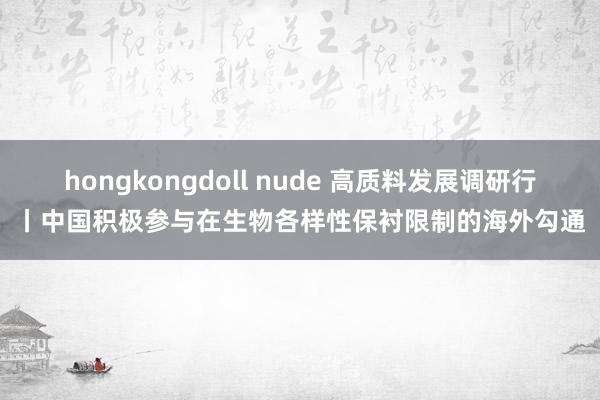 hongkongdoll nude 高质料发展调研行丨中国积极参与在生物各样性保衬限制的海外勾通