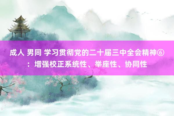 成人 男同 学习贯彻党的二十届三中全会精神⑥：增强校正系统性、举座性、协同性