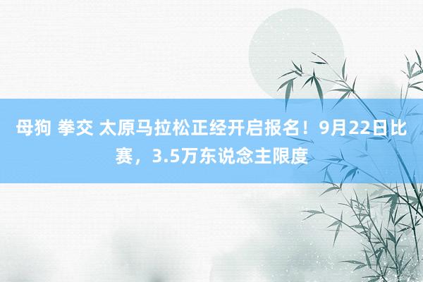 母狗 拳交 太原马拉松正经开启报名！9月22日比赛，3.5万东说念主限度