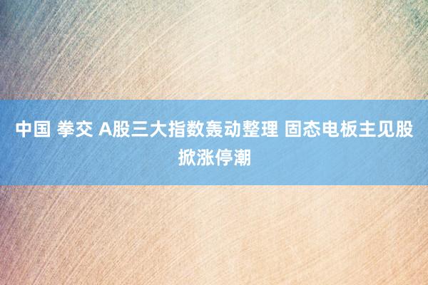 中国 拳交 A股三大指数轰动整理 固态电板主见股掀涨停潮