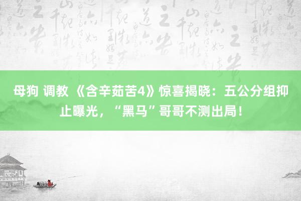 母狗 调教 《含辛茹苦4》惊喜揭晓：五公分组抑止曝光，“黑马”哥哥不测出局！