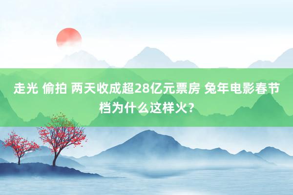 走光 偷拍 两天收成超28亿元票房 兔年电影春节档为什么这样火？