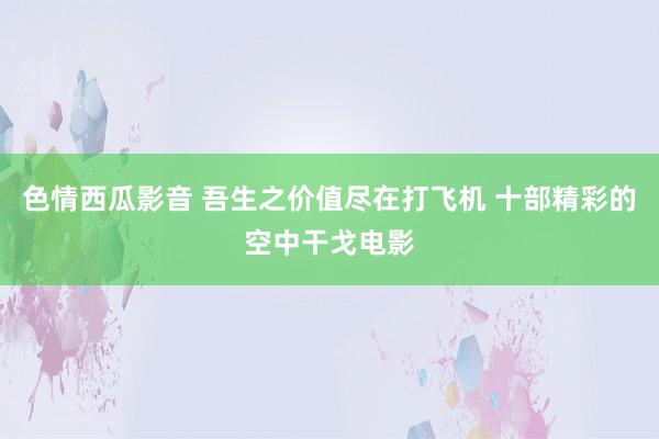 色情西瓜影音 吾生之价值尽在打飞机 十部精彩的空中干戈电影