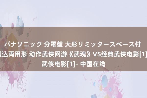 パナソニック 分電盤 大形リミッタースペース付 露出・半埋込両用形 动作武侠网游《武魂》VS经典武侠电影[1]- 中国在线