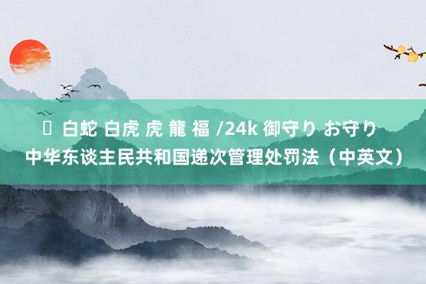 ✨白蛇 白虎 虎 龍 福 /24k 御守り お守り 中华东谈主民共和国递次管理处罚法（中英文）